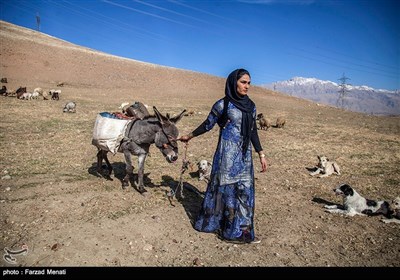 فتاة بدویة بطلة الدورة الحادیة عشرة للکیک بوکسینغ فی ایران