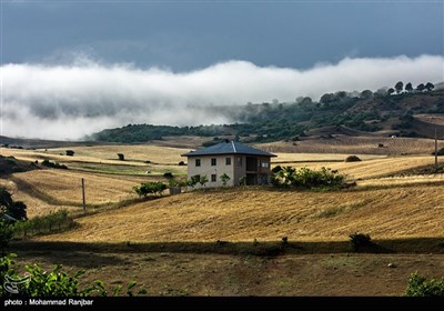 روستای شاه شهیدان در گیلان