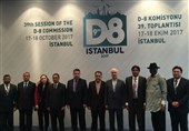 برگزاری نشست مقدماتی اجلاس دی 8 در استانبول