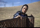 رشیدی