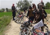 درگیری بین طالبان و گروه انشعابی «ملا رسول» در غرب افغانستان