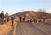 18گردشگر آلمانی از مزارع زرشک و زعفران خراسان جنوبی بازدید می‌کنند