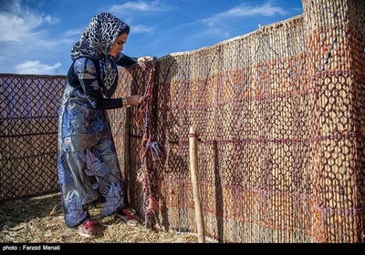 سوسن؛ ایران کی خانہ بدوش لڑکی کک باکسنگ کی حکمران