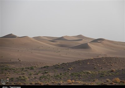 شبی به یادماندنی در کویر سهقلعه / جغرافیایی استثنایی که نظیر ندارد + فیلم