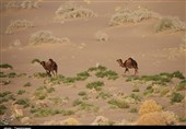 Seh Qaleh Desert in Eastern Iran: A Hidden Gem for Desert Lovers