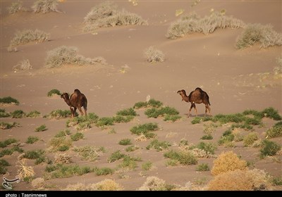 Seh Qaleh Desert in Eastern Iran: A Hidden Gem for Desert Lovers