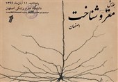 همایش &quot;مغز و شناخت&quot; در دانشگاه علوم پزشکی اصفهان برگزار می‌شود