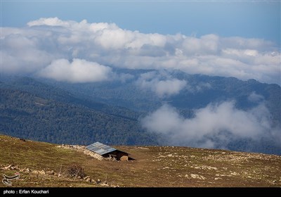 سفر به مازیچال