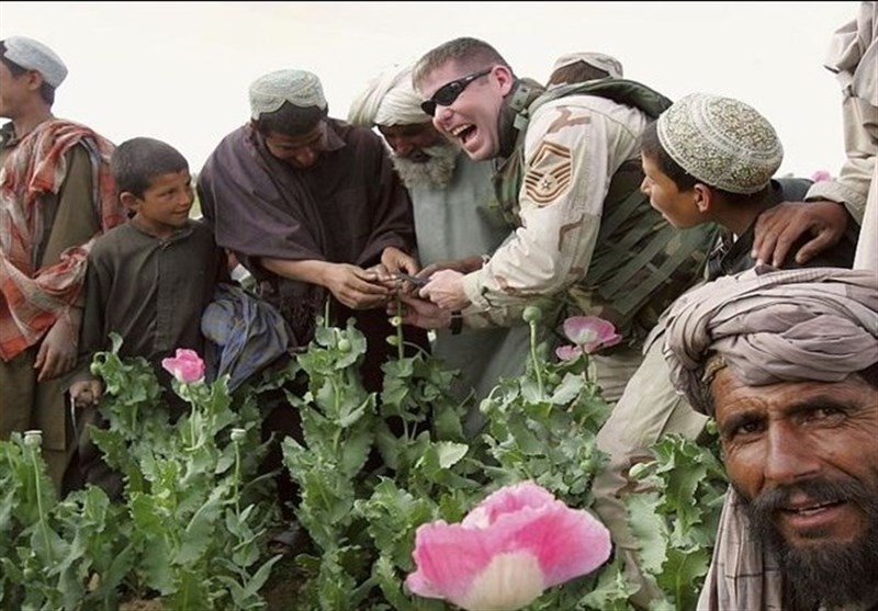 امریکی سرپرستی میں افغانستان میں افیون کی کاشت ریکارڈ سطح پر