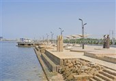 بوشهر| بازارچه عرضه آبزیان در نوار ساحلی بوشهر ایجاد می‌شود