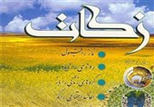 سمنان| بیش از 9 میلیارد تومان زکات در استان سمنان جمع‌آوری شد