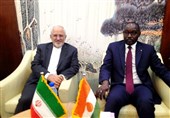 دیدار ظریف و وزیر خارجه نیجر