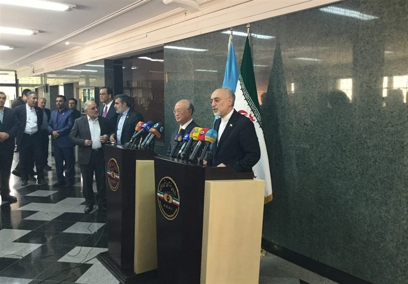 Salehi Praises IAEA Reports on Iran’s Compliance with JCPOA