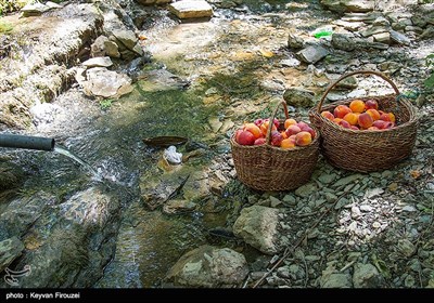 روستای کوهستانی گلین، در فاصله 50 کیلومتری جنوب غربی شهر سنندج در استان کردستان واقع شده است. این روستا بافت پله کانی دارد و اهالی آن بیشتر به کشاورزی و باغداری مشغول هستند و از این طریق امرار معاش می‌کنند.