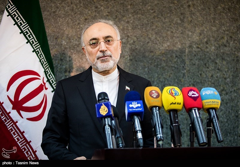 Iran Nuclear Chief: Natanz Facility Fit for 1-Million-SWU Enrichment Capacity