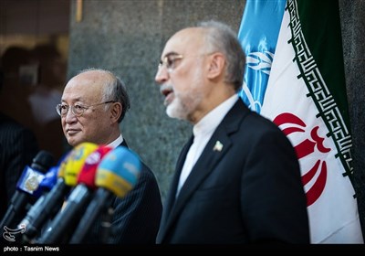 IAEA's Chief Amano Meets AEOI Chief Salehi in Tehran