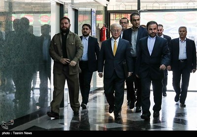 لقاء صالحی بآمانو فی طهران