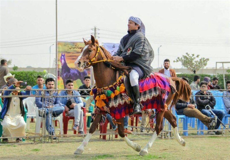 مسابقه کشوری ورزشی اسب عرب در خوزستان برگزار می‌شود