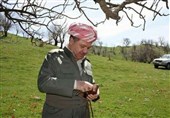 تحولات اقلیم کردستان عراق|تحرکات بارزانی با هدف بازگشت به عرصه سیاسی عراق و نظرات مخالفان