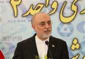 Iran to Unveil Domestically-Made Nuclear Batteries in 2018: Salehi