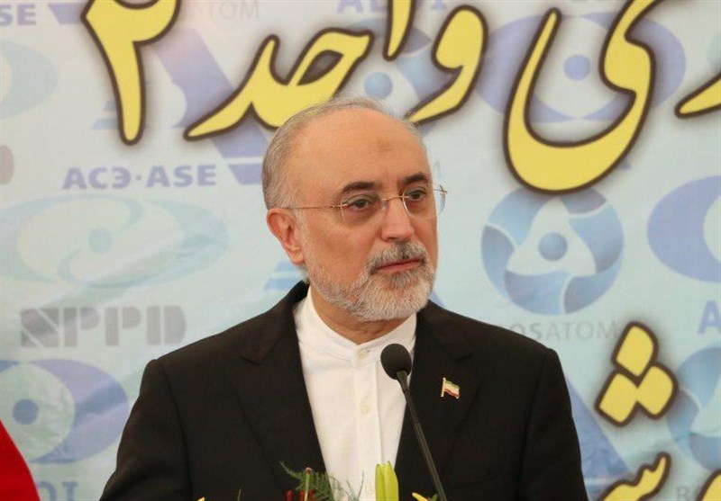 Iran to Unveil Domestically-Made Nuclear Batteries in 2018: Salehi