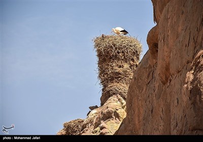 قلعه لک لک- زنجان