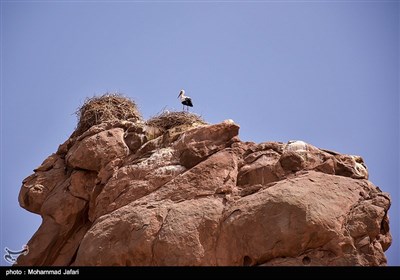 قلعه لک لک- زنجان