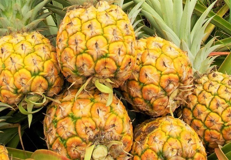 8 خاصیت شگفت انگیز این میوه زرد رنگ را بشناسید