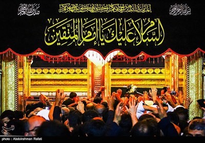 زوار اربعین الامام الحسین(ع) فی حرم أمیر المؤمنین علی(ع)