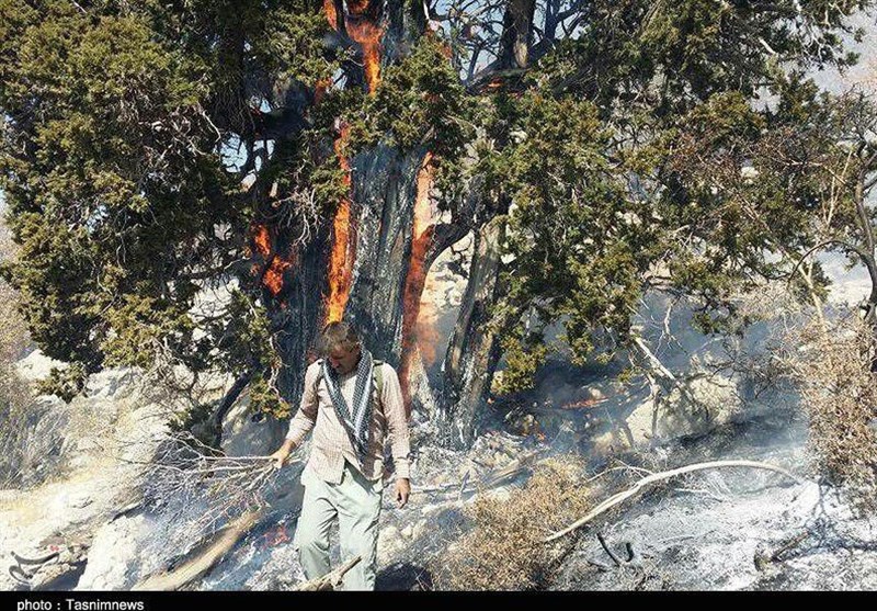 آتش سوزی جنگل‌های کوه سفید شهرستان لنده به روایت تصویر