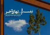 شبکه مستند جنگل‌خواری دولتی را افشا می‌کند