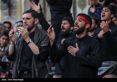 زائرین اربعین حسینی در حرم امام علی(ع) - نجف اشرف