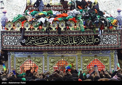 حرم أبو الفضل العباس(ع) على اعتاب اربعین الامام الحسین (ع)