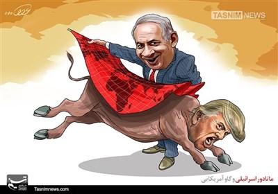 اسرائیلی میٹاڈور اور امریکی بیل