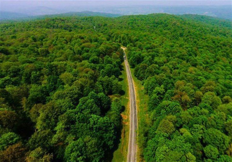 پروژه بین‌المللی چند منظوره جنگل‌های هیرکانی در 25 روستای مینودشت اجرا می‌شود