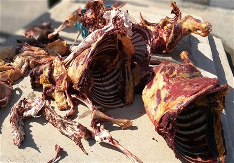 دستگاه قضایی آذربایجان شرقی فروشندگان گوشت اسب و الاغ را نقره داغ کرد