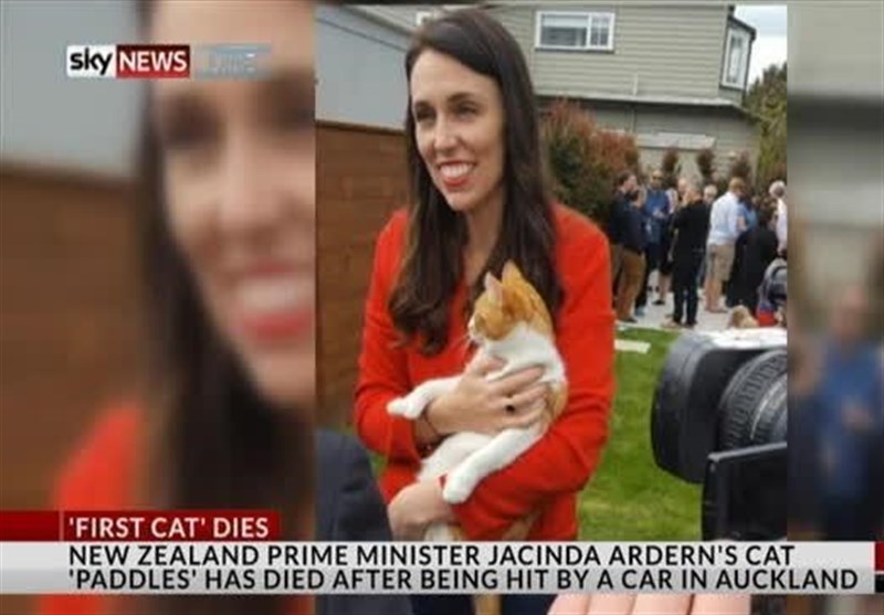 نخست‌وزیر نیوزیلند به سوگ &quot;گربه اول&quot; نشست+ تصاویر