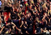 تقریر مصور.. اربعین الامام الحسین (ع) فی کربلاء المقدسة
