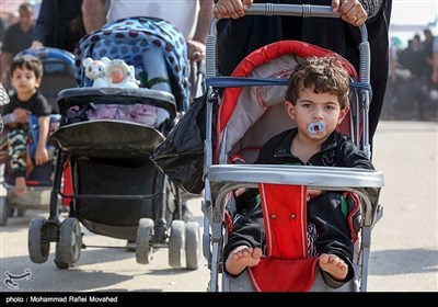 اربعین حسینی مارچ کے دوران بچوں سے لی گئی تصاویر