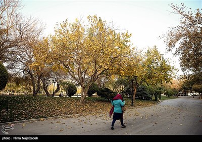 پاییز در مشهد