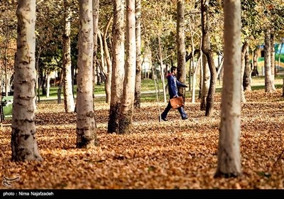 پاییز در مشهد