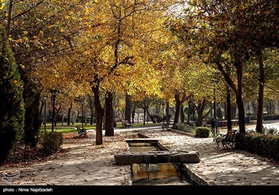 پاییز در مشهد
