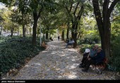 پارک شفق در قسمت مرکزی محله یوسف آباد