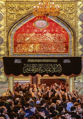 بارگاه ملکوتی امام علی(ع)