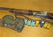 23 قبضه اسلحه شکاری فاقد مجوز در گلستان کشف شد