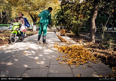 پاییز در تهران