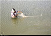 گرگان| رهاسازی بیش از 2000 قطعه ماهیان خاویاری در آب‌های ساحلی استان گلستان