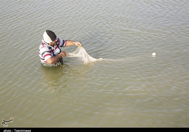 گرگان| رهاسازی بیش از 2000 قطعه ماهیان خاویاری در آب‌های ساحلی استان گلستان