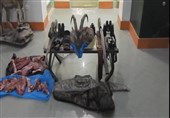باند حرفه‌ای 10 نفره شکار غیرمجاز در اردستان دستگیر شدند