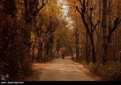 فصل پاییز در کشمیر